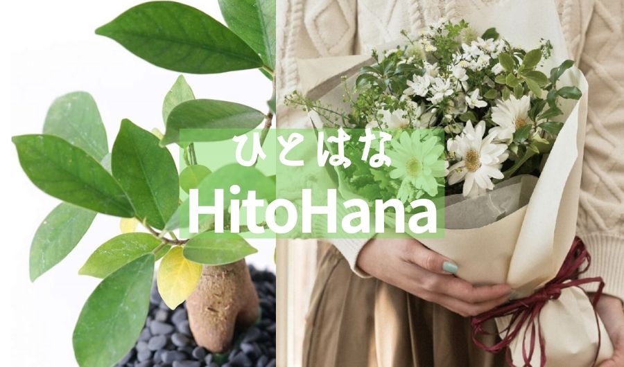ひとはな/HitoHanaで植物を買ってみた感想！みんなの口コミ･評判
